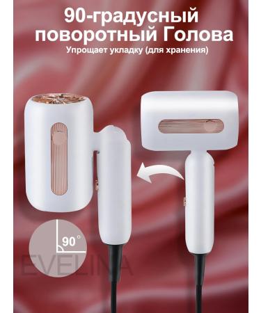 EVELINA Professional hair dryer hair dryer with nozzle - Buy Online on GoSupps.com