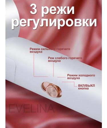 EVELINA Professional hair dryer hair dryer with nozzle - Buy Online on GoSupps.com