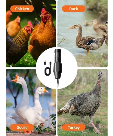 PHILIPS Electric tweezers to remove feathers in chickens ducks and geese - Buy Online on GoSupps.com