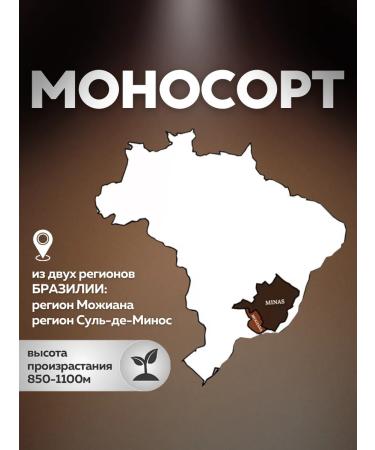 Nutti coffee in grains 250 grams of fry 11 09 2025 - Buy Online on GoSupps.com