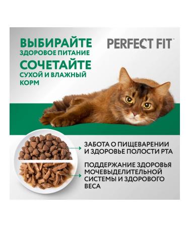 PERFECT FIT Dry food for sterilized cats chicken 3pcs for 190g - Buy Online on GoSupps.com