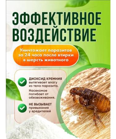 shuaizhe Effective anti -fleas tool for dogs and cats without smell - Buy Online on GoSupps.com