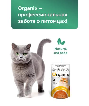 Organix Cat soup with chicken vegetables and rice. Wet food 80 g - Buy Online on GoSupps.com