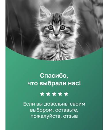 Organix Cat soup with chicken vegetables and rice. Wet food 80 g - Buy Online on GoSupps.com