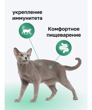 Organix Cat soup with chicken vegetables and rice. Wet food 80 g - Buy Online on GoSupps.com