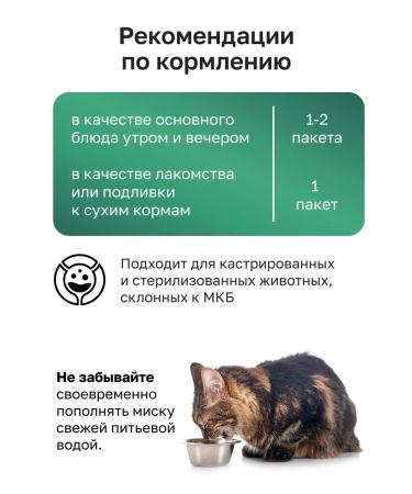 Organix Cat soup with chicken vegetables and rice. Wet food 80 g - Buy Online on GoSupps.com