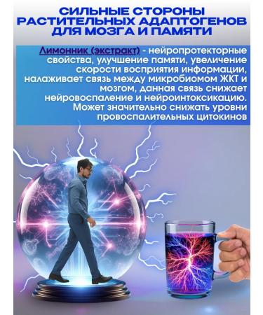 phytokom Altai For brain and memory a rapidly discriminate drink in Sasha - Buy Online on GoSupps.com