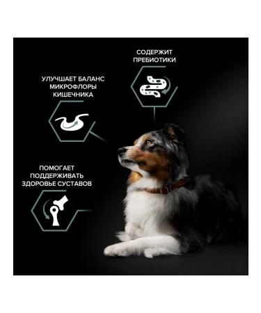 PRO PLAN Dry food for adult medium-sized dogs with sensitive digestion with lamb 14 kg - Buy Online on GoSupps.com