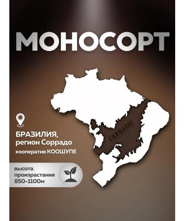 Coffee Brazil Serrado in grains 250 grams of fry 02 09 2025 - Buy Online on GoSupps.com