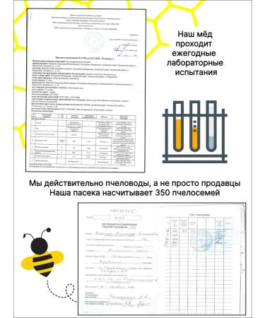 Mountain Dyeravity Natural Altai 1 5 kg 2025 - Buy Online on GoSupps.com