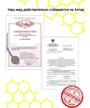 Mountain Dyeravity Natural Altai 750 GP 2025 - Buy Online on GoSupps.com