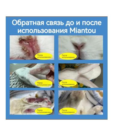 lichen and dermatitis for rabbits relieves itching 100 ml - Buy Online on GoSupps.com