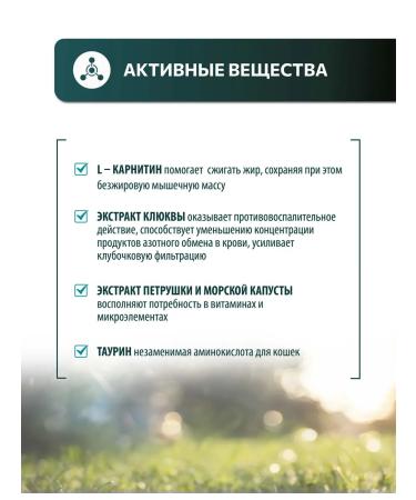 Vita+ The treat for castrated. Kotov and steril. Koshkoshki 90 tab - Buy Online on GoSupps.com