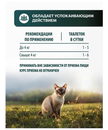 Vita+ A treat for cats anti -stress 90 tablets - Buy Online on GoSupps.com