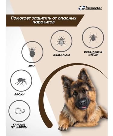 Inspector i210 collar for large dogs 75 cm - Buy Online on GoSupps.com