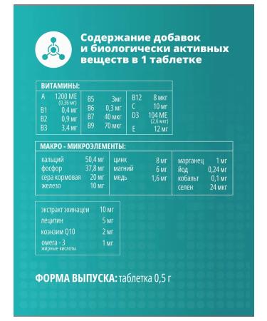 PetActive Vitamins 12 V 1 for adult dogs of all breeds 100 tablets - Buy Online on GoSupps.com