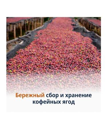 Delonghi Coffee Signature Coffee Premium Starter Pack 4x250 g - Buy Online on GoSupps.com