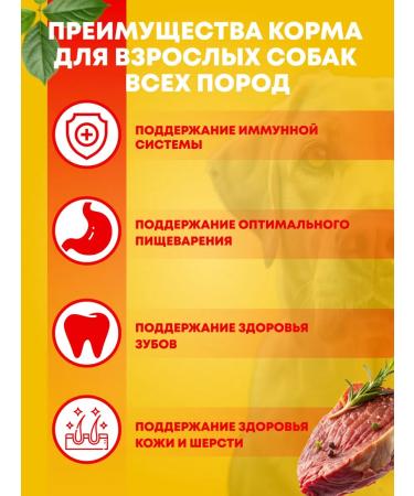 PEDIGREE Dry food for adult dogs of all breeds beef 13 kg - Buy Online on GoSupps.com