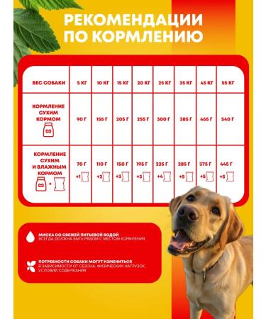 PEDIGREE Dry food for adult dogs of all breeds beef 13 kg - Buy Online on GoSupps.com