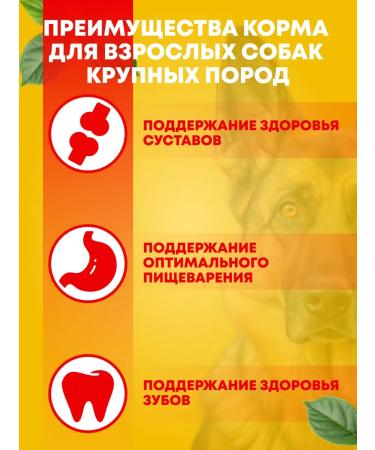 PEDIGREE Dry food for adult dogs of large breeds beef 13 kg - Buy Online on GoSupps.com