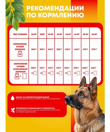 PEDIGREE Dry food for adult dogs of large breeds beef 13 kg - Buy Online on GoSupps.com