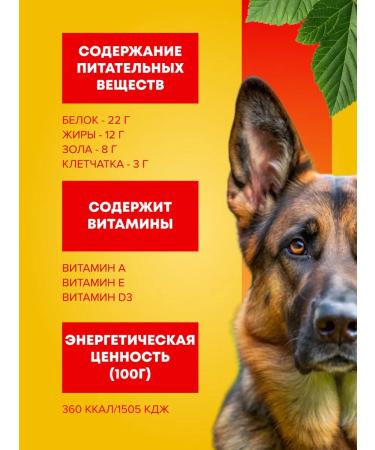 PEDIGREE Dry food for adult dogs of large breeds beef 13 kg - Buy Online on GoSupps.com