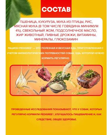 PEDIGREE Dry food for adult dogs of large breeds beef 13 kg - Buy Online on GoSupps.com