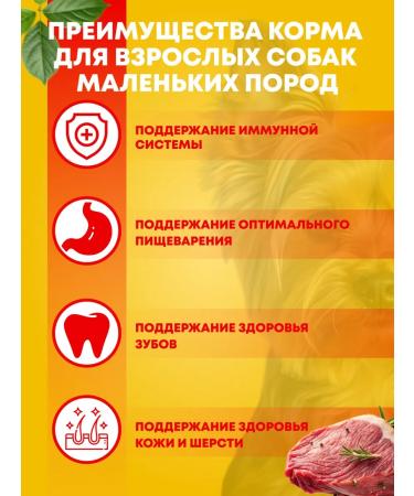 PEDIGREE Dry food for adults small dogs beef 13 kg - Buy Online on GoSupps.com