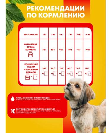 PEDIGREE Dry food for adults small dogs beef 13 kg - Buy Online on GoSupps.com