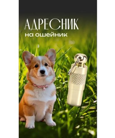 Trick Address on a collar for a dog and cat 2pcs