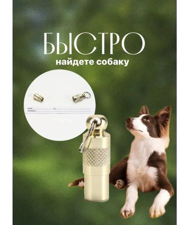Trick Address on a collar for a dog and cat 2pcs - Buy Online on GoSupps.com