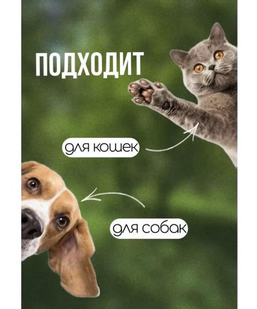 Trick Address on a collar for a dog and cat 2pcs - Buy Online on GoSupps.com