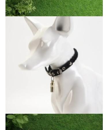 Trick Address on a collar for a dog and cat 2pcs - Buy Online on GoSupps.com