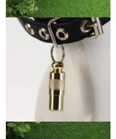 Trick Address on a collar for a dog and cat 2pcs - Buy Online on GoSupps.com