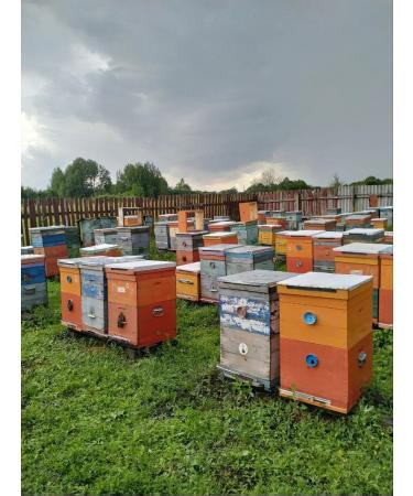 fita Buckwheat Copper 500 grams - Buy Online on GoSupps.com