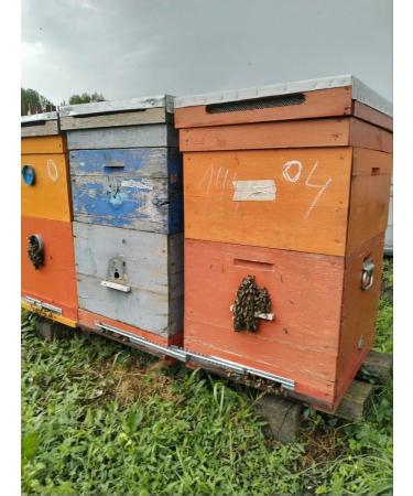 fita Buckwheat Copper 500 grams - Buy Online on GoSupps.com