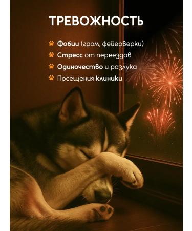CBD soothing oil for dogs from 5 kg (5%) 10 ml - Buy Online on GoSupps.com