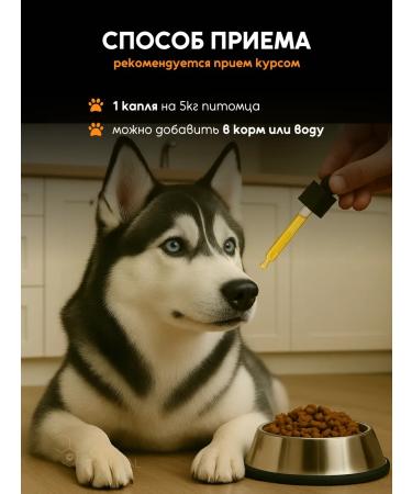CBD soothing oil for dogs from 5 kg (5%) 10 ml - Buy Online on GoSupps.com