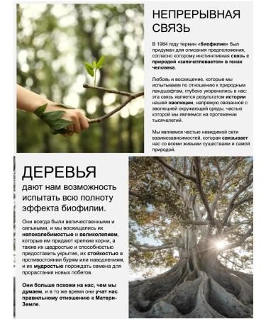 Barex Energaging shampoo from hair loss JOC Re-Power - Buy Online on GoSupps.com