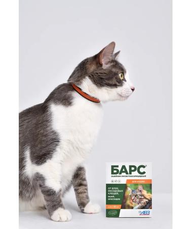 AVZ Bars collar for cats - Buy Online on GoSupps.com
