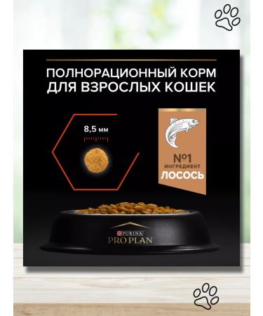 PRO PLAN Dry food for adult cats vital salmon 3 kg - Buy Online on GoSupps.com