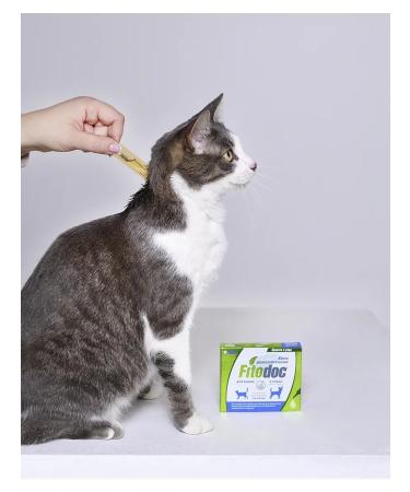 AVZ Fitodoc drops for dogs and cats 4pip. 0.6 ml - Buy Online on GoSupps.com