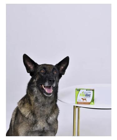 AVZ Fitodoc Drops for dogs 4pip. 1.2ml - Buy Online on GoSupps.com