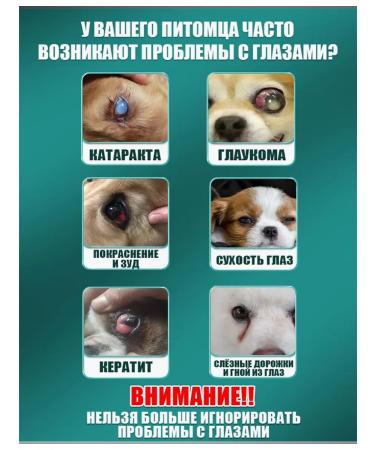Eye drops from conjunctivitis for animals 20 ml - Buy Online on GoSupps.com