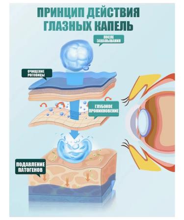 Eye drops from conjunctivitis for animals 20 ml - Buy Online on GoSupps.com