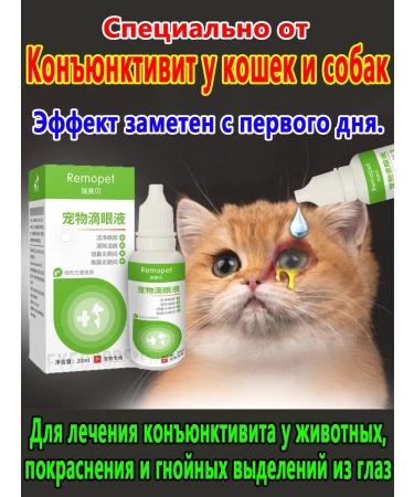 Eye drops from conjunctivitis for animals 40 ml