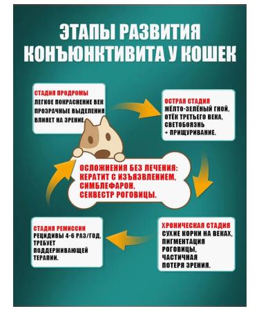 Eye drops from conjunctivitis for animals 40 ml - Buy Online on GoSupps.com