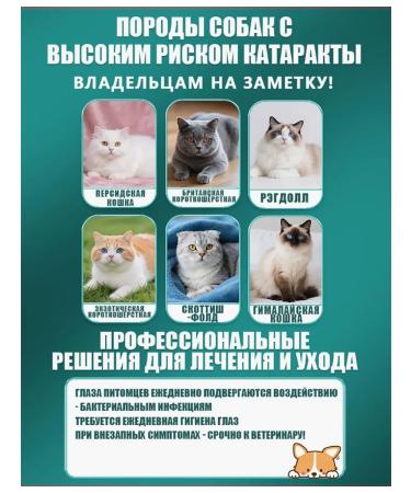 Eye drops from conjunctivitis for animals 40 ml - Buy Online on GoSupps.com