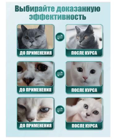 Eye drops from conjunctivitis for animals 40 ml - Buy Online on GoSupps.com