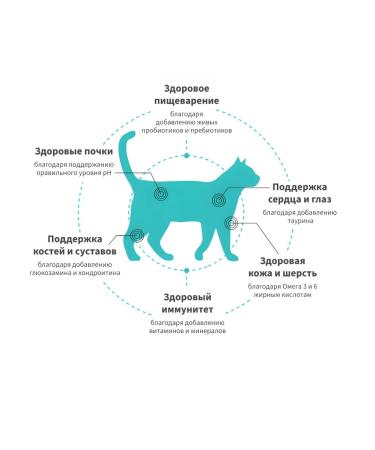 Grandorf Fresh adult cat food with duck - 2 pcs 400 - Buy Online on GoSupps.com